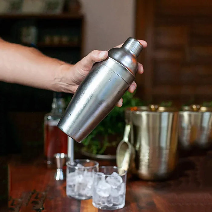 Stainless Steel Cocktail Shaker Set with Storage Bag